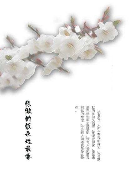 你做的饭永远最香 - cover