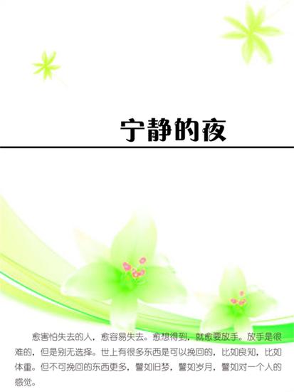 宁静的夜 - cover