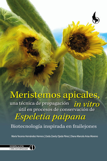 Meristemos apicales una técnica de propagación in vitro útil en procesos de conservación de Espeletia paipana - Biotecnología inspirada en frailejones - cover