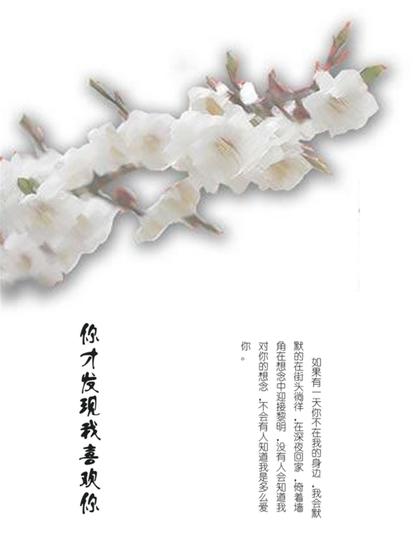 你才发现我喜欢你 - cover