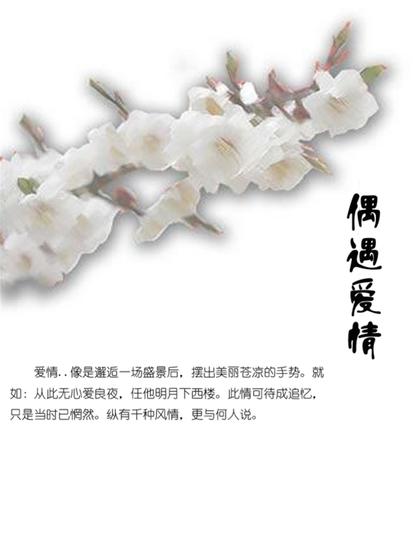 偶遇爱情 - cover