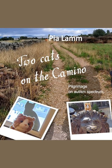 Two Cats on the Camino - Pilgrimage on autism-spectrum - cover