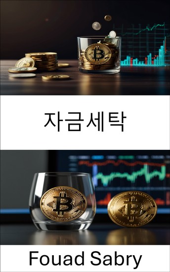 자금세탁 - 불법적인 부의 디지털 그림자 추적 - cover