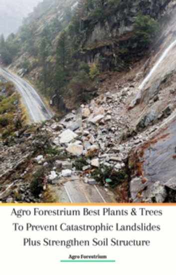 Agro Forestrium Best Plants & Trees To Prevent Catastrophic Landslides Plus Strengthen Soil Structure - cover
