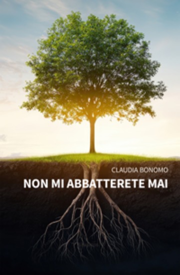 Non mi abbatterete mai - cover