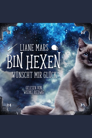 Bin Hexen: Wünscht mir Glück - cover