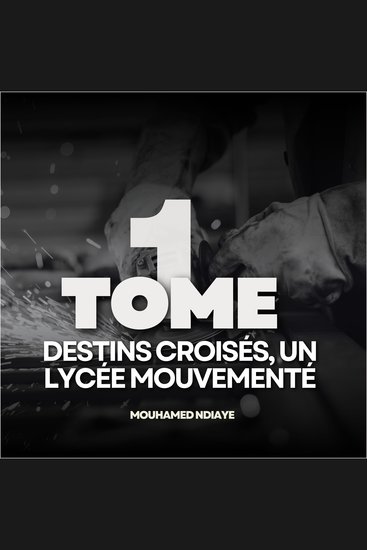 Destins Croisés : Un Lycée Mouvementé Tome 1 - Une année pleine de surprises - cover