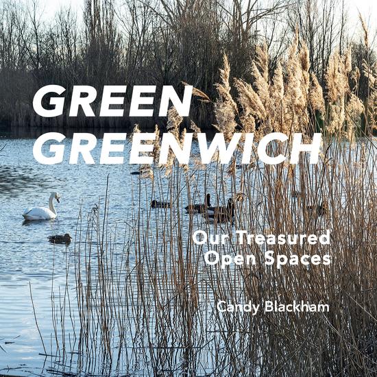 Green Greenwich - cover