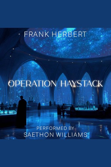 Operation Haystack - cover
