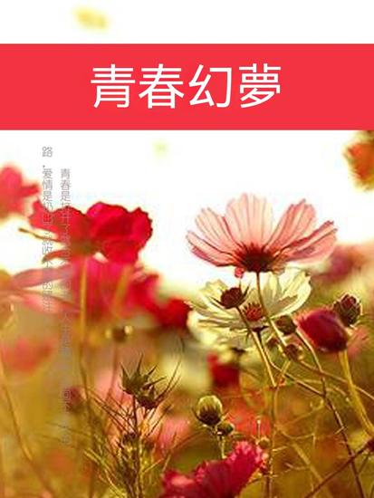 青春幻夢 - 繁體中文版 - cover