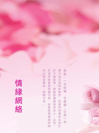 情緣網絡 - 繁體中文版 - cover