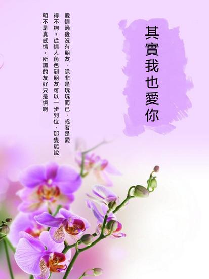 其實我也愛你 - 繁體中文版 - cover