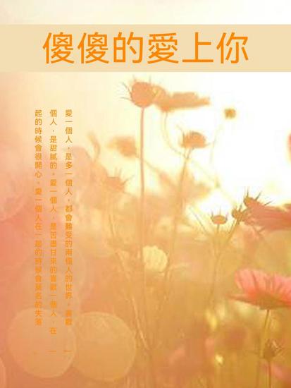 傻傻的愛上你 - 繁體中文版 - cover