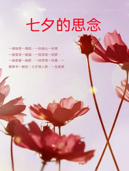 七夕的思念 - 繁體中文版 - cover