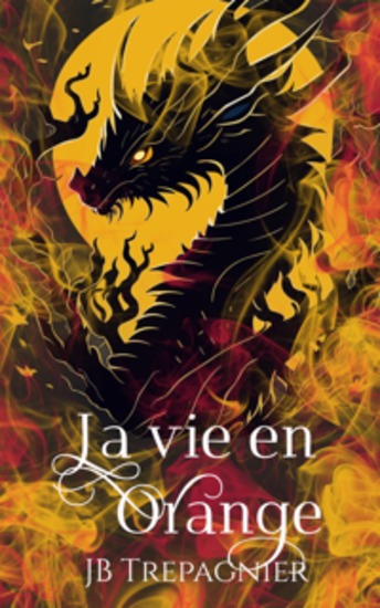 La Vie En Orange - cover