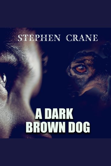 A Dark Brown Dog - cover