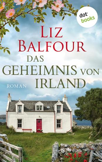 Das Geheimnis von Irland - oder: Ich schreib dir sieben Jahre - Ein Irland-Roman - cover