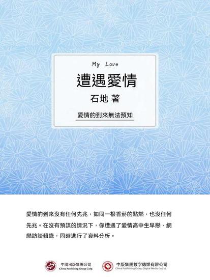 遭遇愛情 - 繁體中文版 - cover
