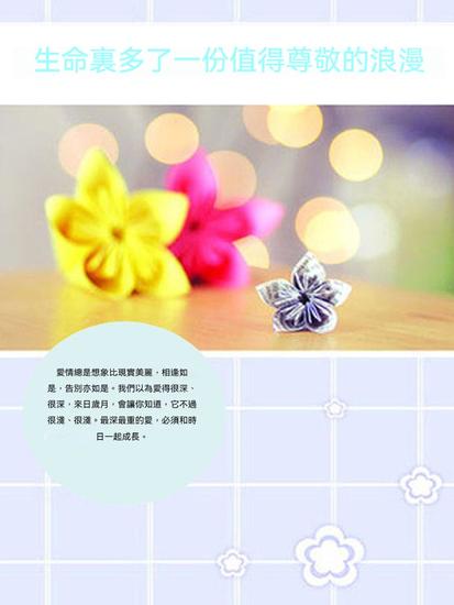 生命裏多了一份值得尊敬的浪漫 - 繁體中文版 - cover