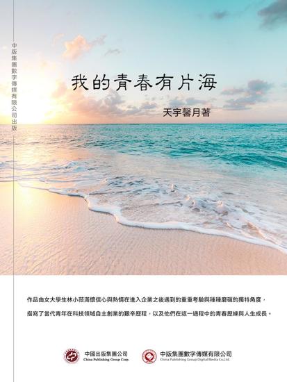 我的青春有片海 - 繁體中文版 - cover