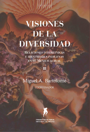 Visiones de la diversidad - Relaciones interétnicas e identidades indígenas en el México actual Volumen III - cover