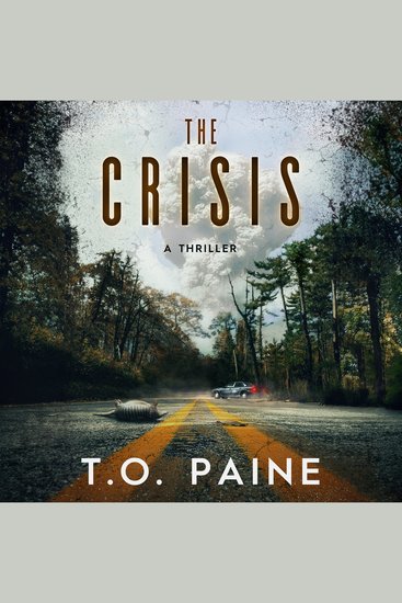 The Crisis - A Thriller - cover