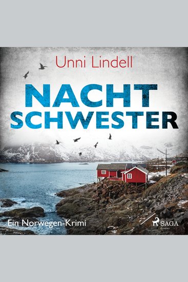Nachtschwester – Ein Norwegen–Krimi - cover
