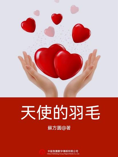 天使的羽毛 - 繁體中文版 - cover