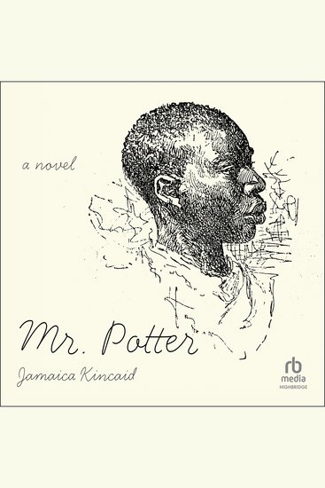 Mr Potter - cover
