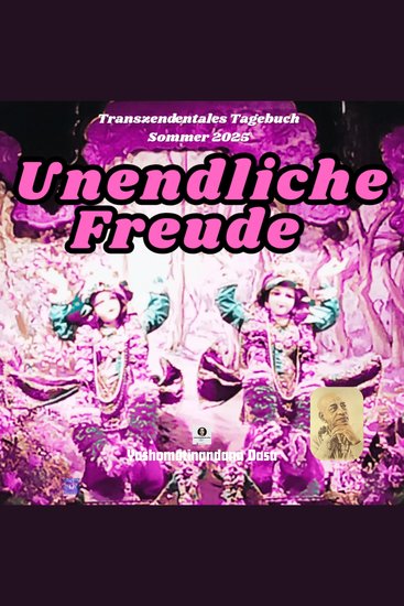 Unendliche Freude - Transzendentales Tagebuch Sommer 2025 - cover