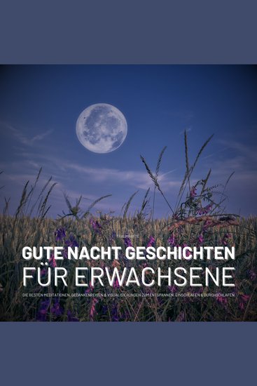 Traumhafte Gute Nacht Geschichten für Erwachsene - Die besten Meditationen Gedankenreisen & Visualisierungen zum Entspannen Einschlafen & Durchschlafen - cover