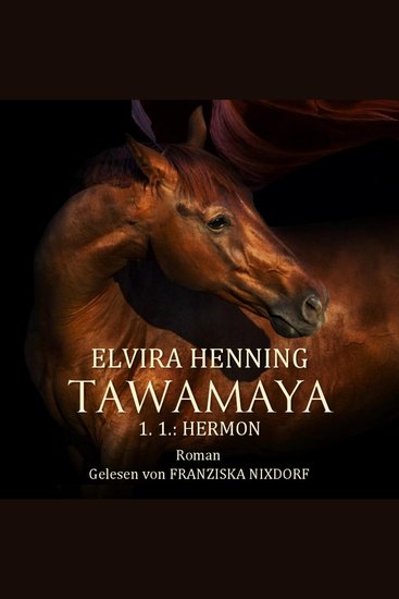 TAWAMAYA - 11: HERMON - Ein historischer Roman - cover