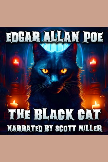 The Black Cat - A Man and His Cat A Bond… Broken Then Came the Madness - cover