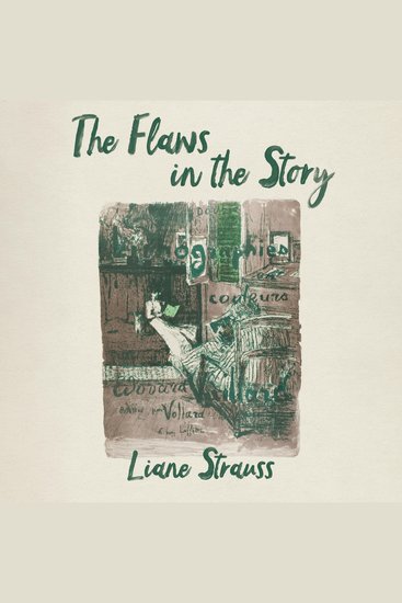 The Flaws in the Story - cover