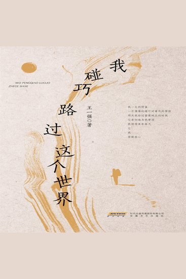 我碰巧路过这个世界 - cover