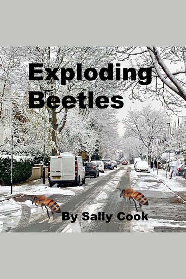 Exploding Beetles - cover