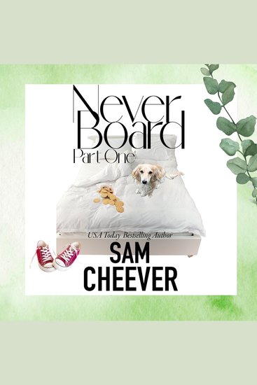 Never Board Part One - A Daily Mystery Serial - cover