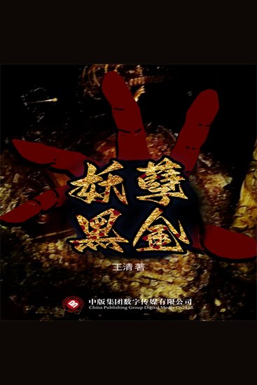 妖孽黑金 - cover