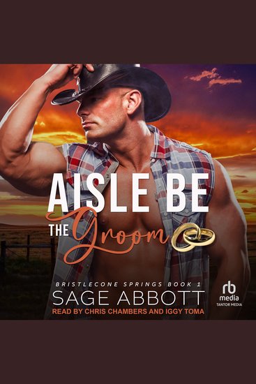 Aisle Be the Groom - cover