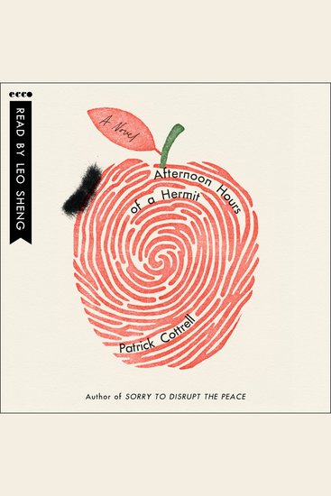 Afternoon Hours of a Hermit - A Novel - cover