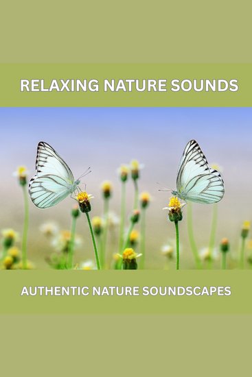 Relaxing Nature Sounds – Over 10 Hours of Pure Natural Ambience (Without Music) - Authentic Nature Soundscapes for Deep Relaxation Sleep Meditation Stress Relief & a Calm Home Atmosphere - cover
