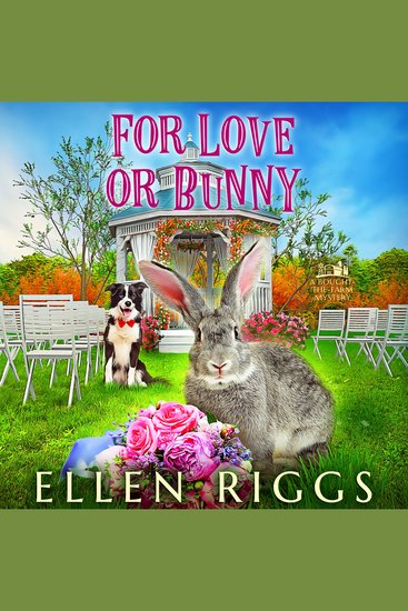 For Love or Bunny - cover