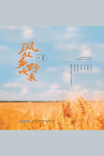 风从乡野吹来 - cover