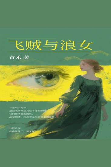 飞贼与浪女 - cover