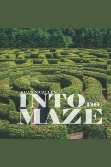 Into the Maze - Euan McAllen - cover