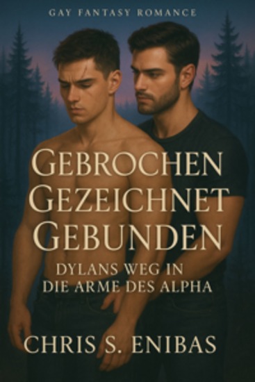 Gebrochen Gezeichnet Gebunden – Dylans Weg in die Arme des Alpha - Gay-Fantasy-Romance - cover