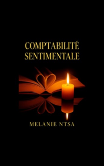 Comptabilité sentimentale - Amour haute tension - cover