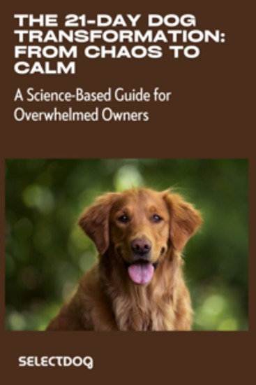The 21-Day Dog Transformation: From Chaos to Calm - A Science-Based Guide for Overwhelmed Owners - The Step-by-Step System That Has Helped 5000+ Frustrated Dog Parents Transform Their 'Impossible' Dogs Into Well-Behaved Companions - cover