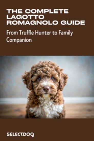 The Complete Lagotto Romagnolo Guide: From Truffle Hunter to Family Companion - Science-Based Training Care & Understanding for Italy's Most Intelligent Water Dog - cover