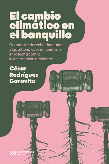 El cambio climático en el banquillo - Cuando los derechos humanos y los tribunales se encuentran en la lucha contra la emergencia ambiental - cover